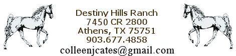 Destiny Hills Ranch 7450 CR 2800, Athens, TX 75751 903-677-4858