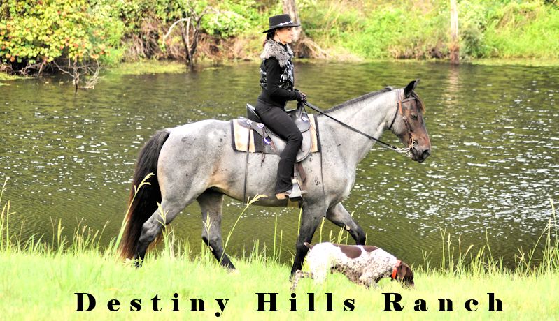 Destiny Hills Ranch, Athens, TX - Ron & Colleen Cates